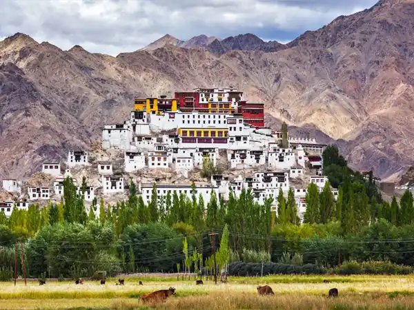 6N 7D Ladakh Tour