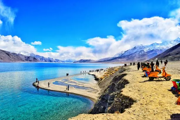 Pangong Special Tour